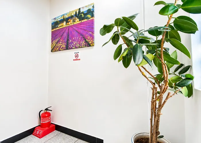 Hostel Aroha Station Seul